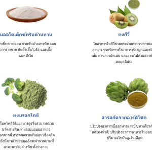 PARATINOL ช่วยฟื้นฟูระบบย่อยอาหารและระบบขับถ่ายจากพยาธิ