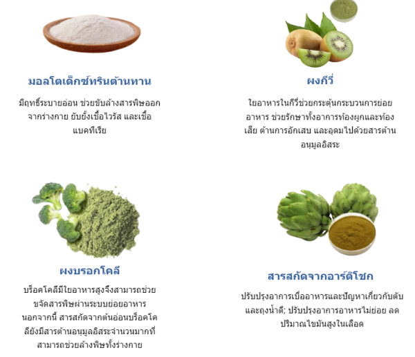 PARATINOL ช่วยฟื้นฟูระบบย่อยอาหารและระบบขับถ่ายจากพยาธิ