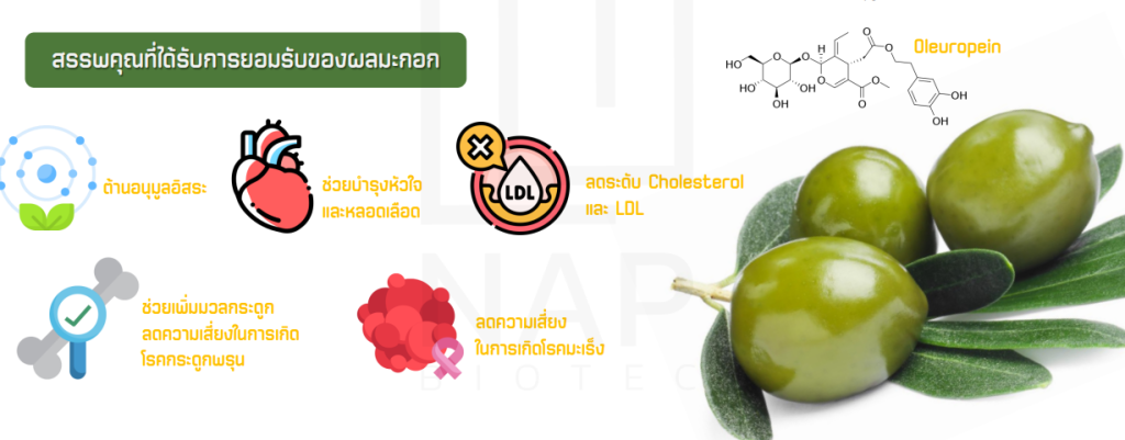 Olive Powder ผงมะกอก