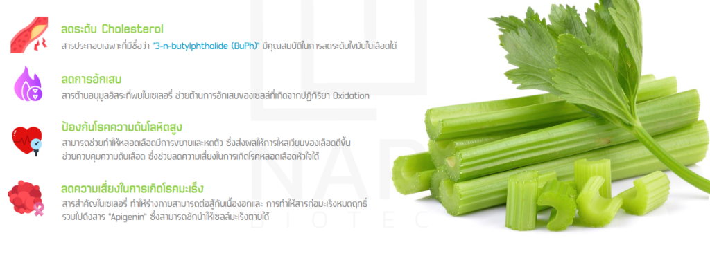 HaviHome – สินค้าของแท้ราคาดี