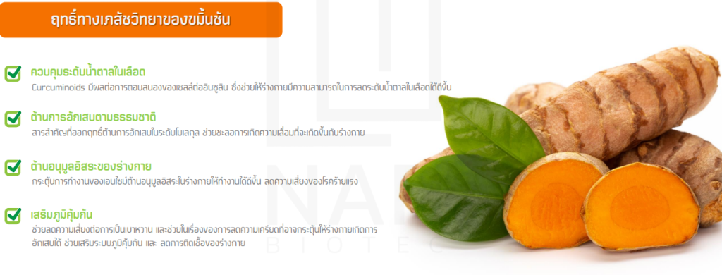 HaviHome – สินค้าของแท้ราคาดี