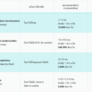 ประเภทของพยาธิที่พบบ่อยที่สุดตามส่วนต่างๆของร่างกาย