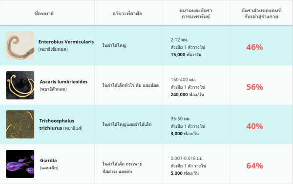 ประเภทของพยาธิที่พบบ่อยที่สุดตามส่วนต่างๆของร่างกาย